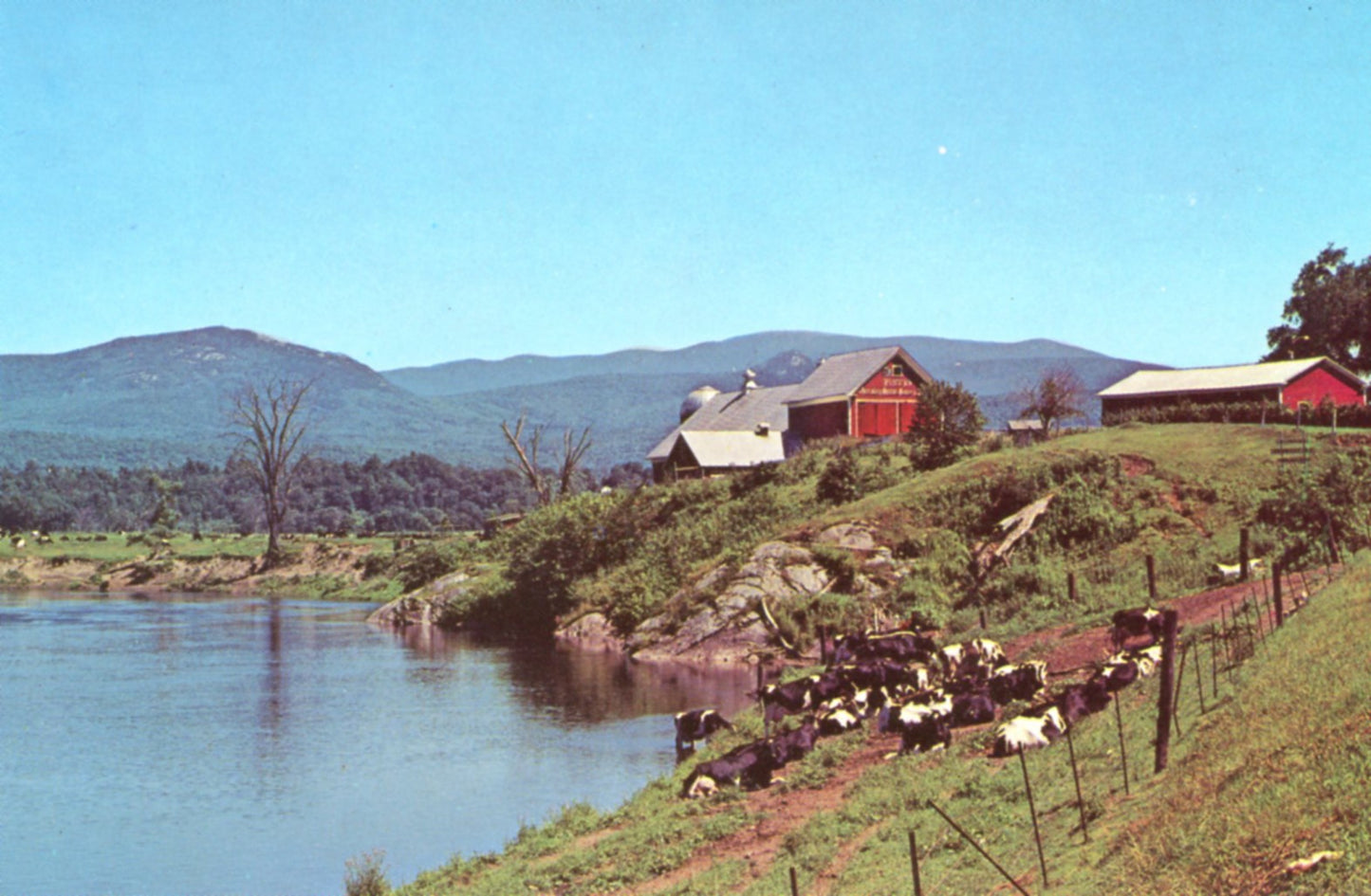 Farm Along the Connecticut River NEWBURY VERMONT Vintage Postcard