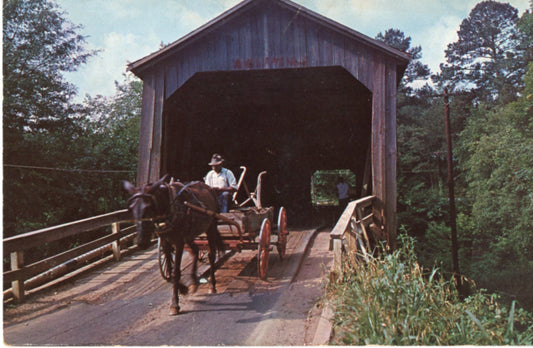 Old Wooden Covered Bridge Scene in OLD SOUTH Vintage Postcard
