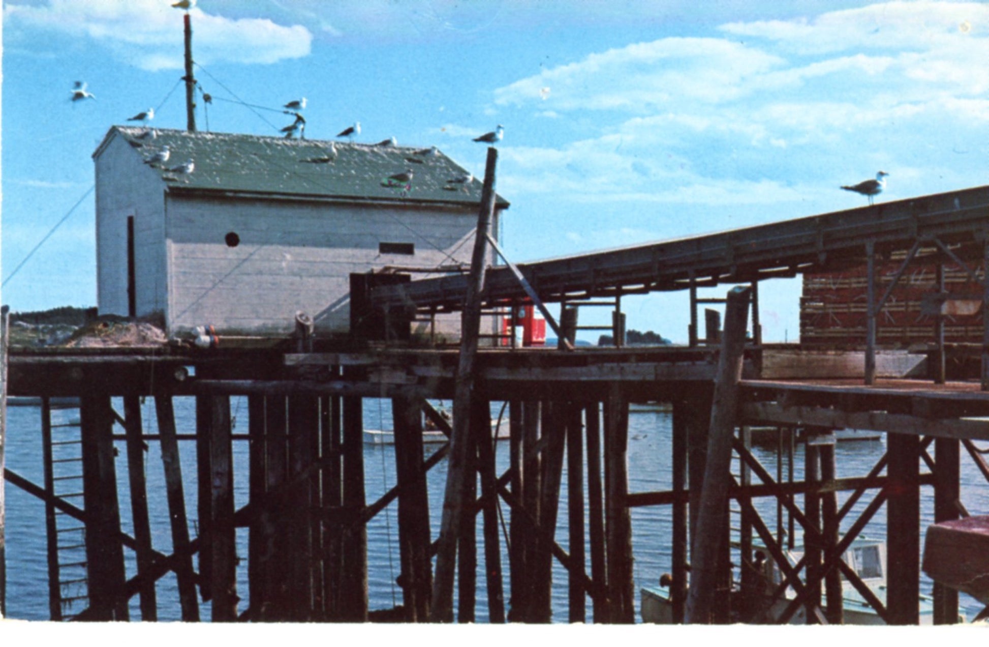 Harbor & Seagulls STONINGTON MAINE Vintage Postcard ©1970's