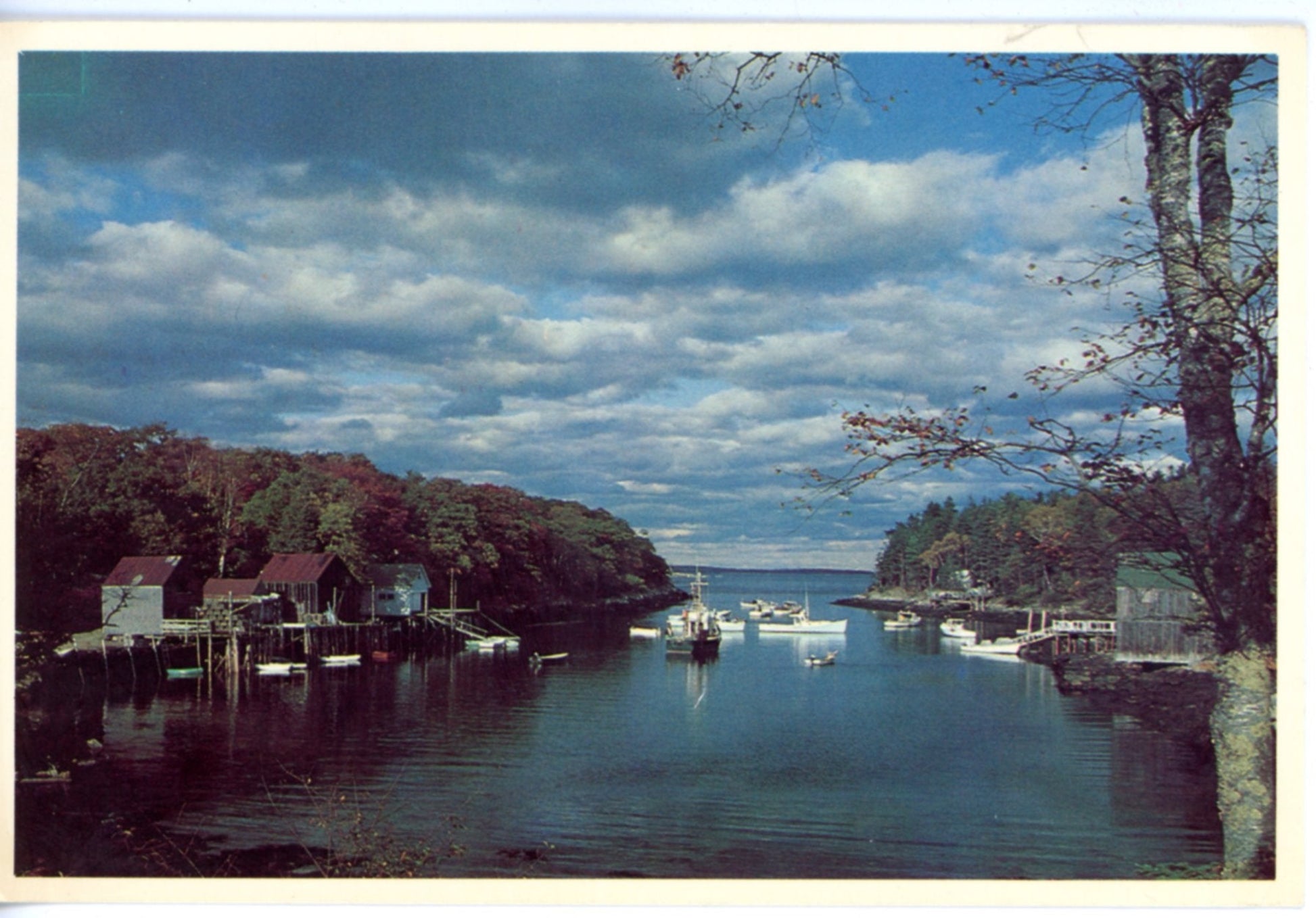Back Cove NEW HARBOR MAINE Vintage Photo Art Print Chrome Postcard