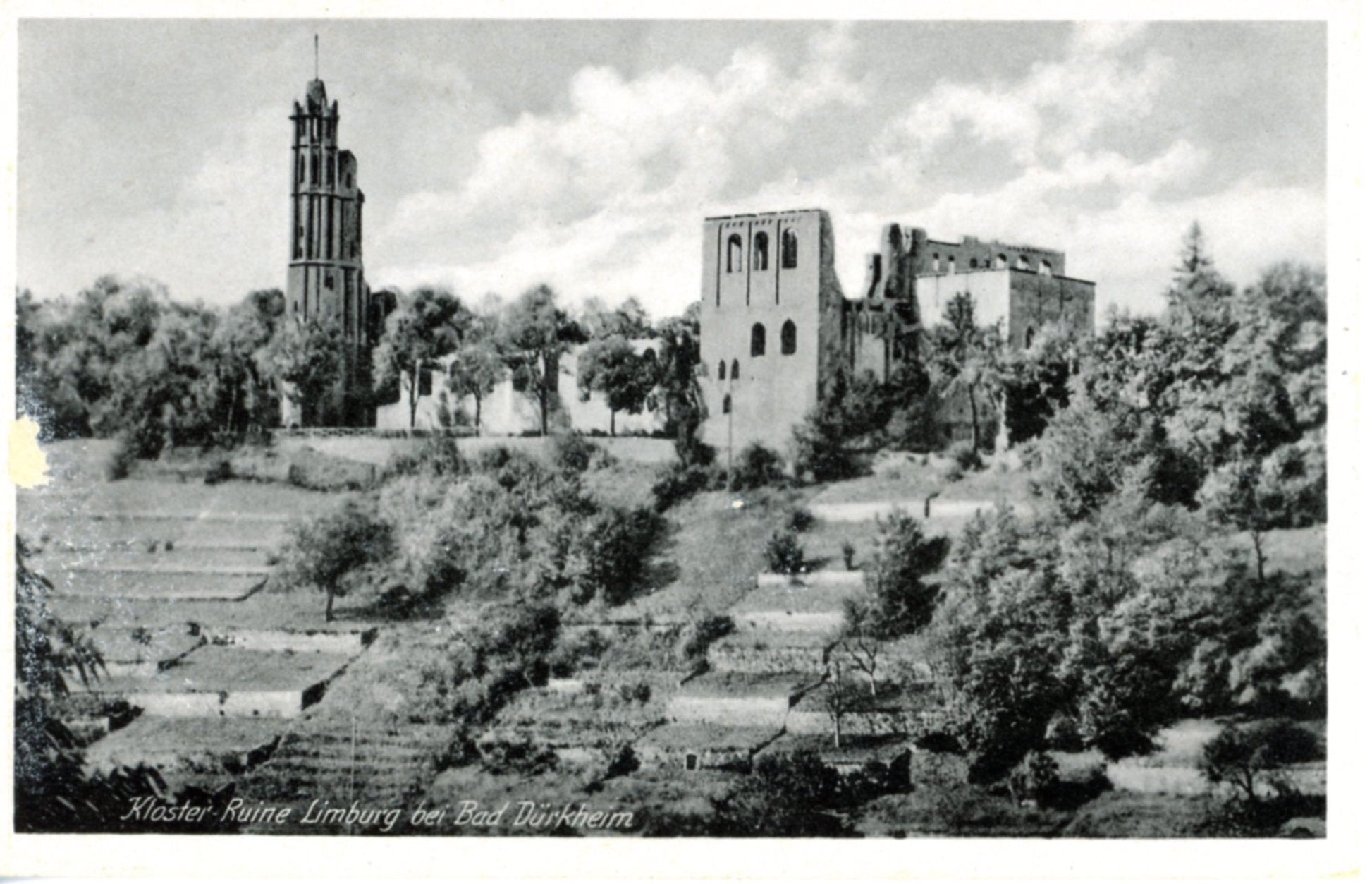 Kloster Ruine Limberg bei BAD DÜRKHEIM GERMANY Real Photo Postcard