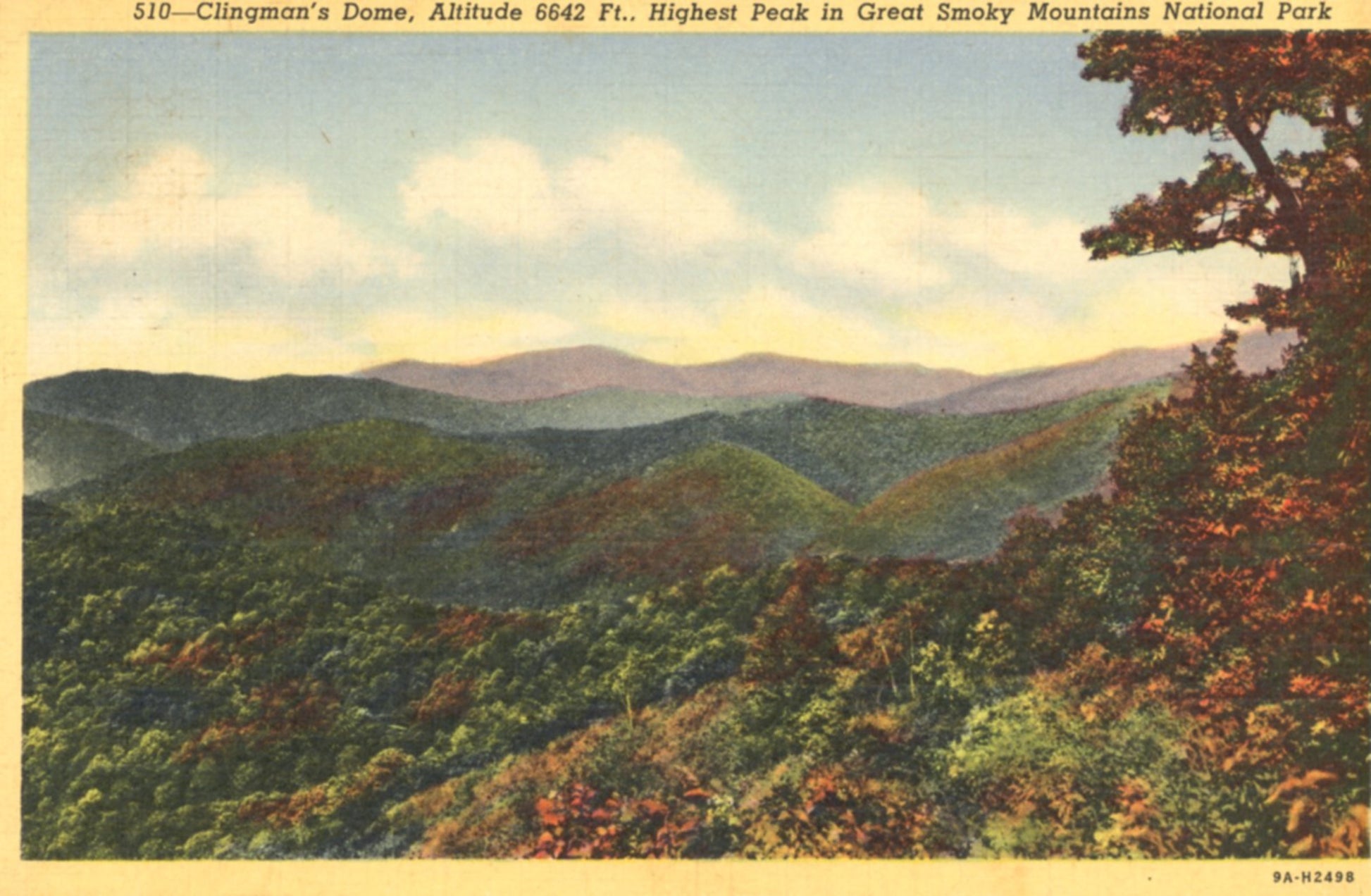 Clingmans Dome Highest Peak In Great Smoky Mountains GATLINBURG TENNESSEE Vintage Linen Postcard 1939