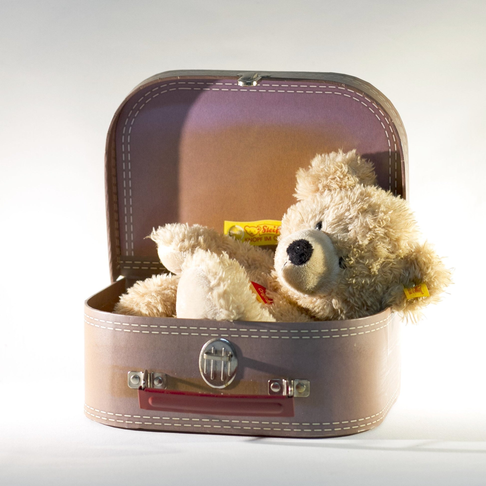 Steiff Fynn Teddy Bear in Suitcase Beige
