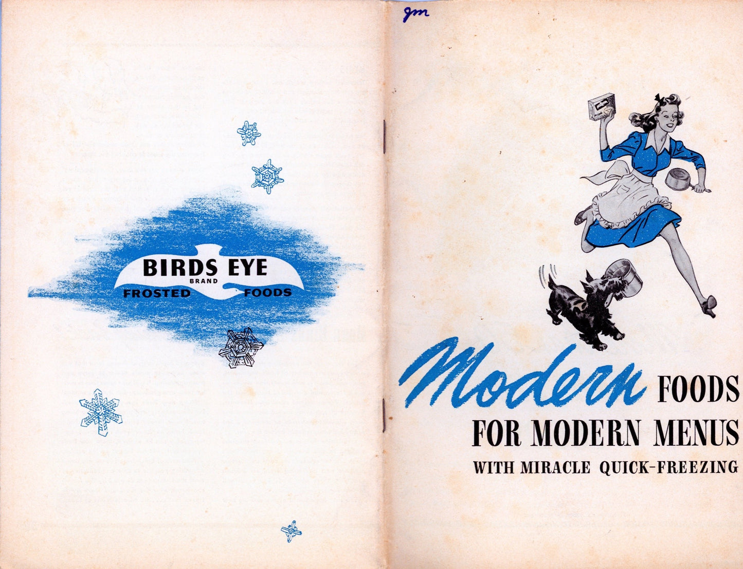 MODERN FOODS FOR MODERN MENUS Vintage Recipe Book Published by Birds Eye Brand Circa 1942