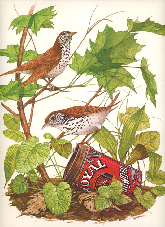 Vintage Wood Thrush and Winter Wren Canvas Sheet Bird Prints Signed R. Dorman Set of Two Circa 1970s